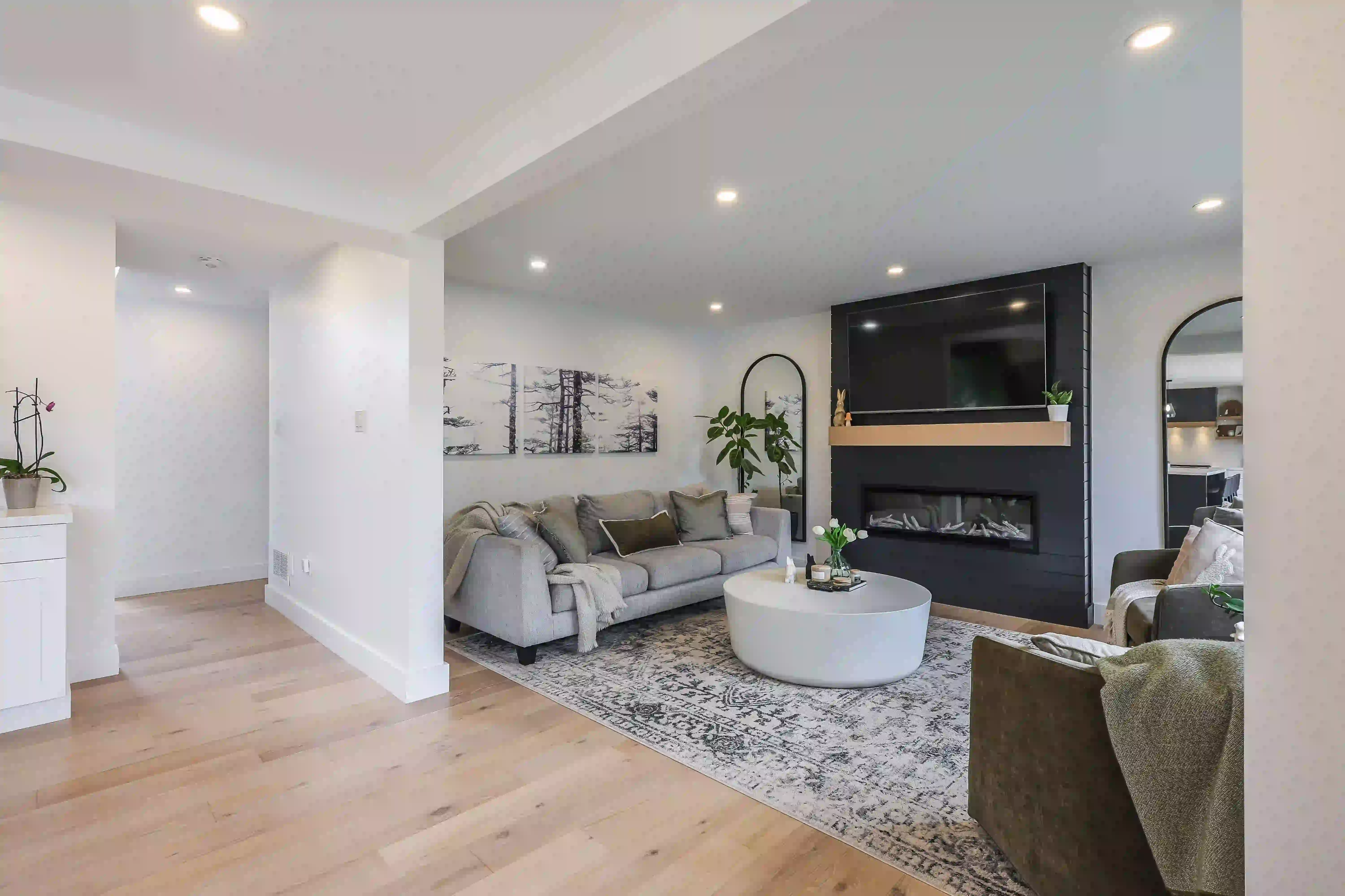 Living room and entry connection