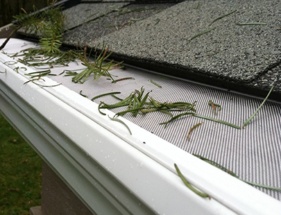 Champion Gutter Guard