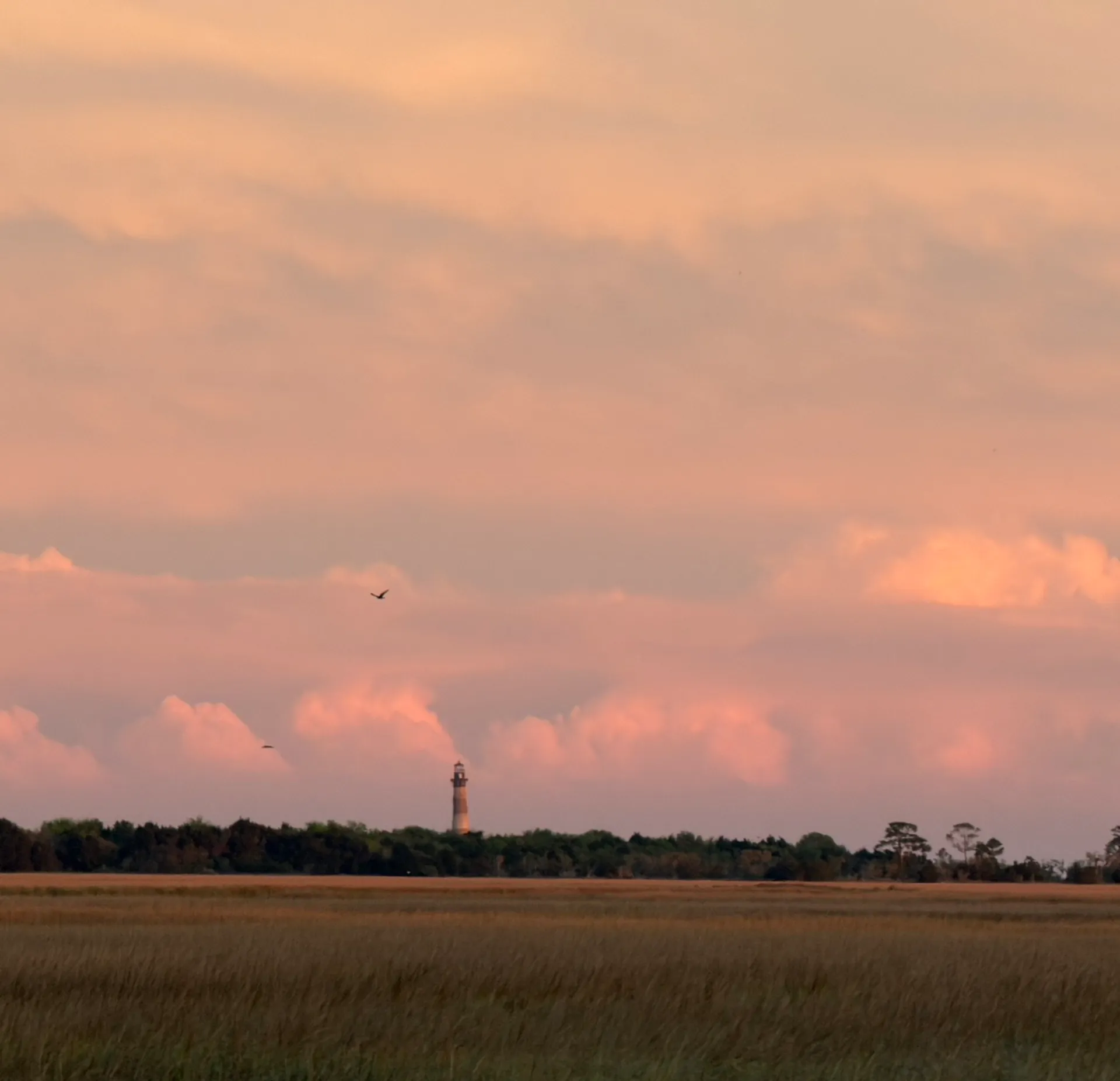 Book a Sunset Tour in Charleston