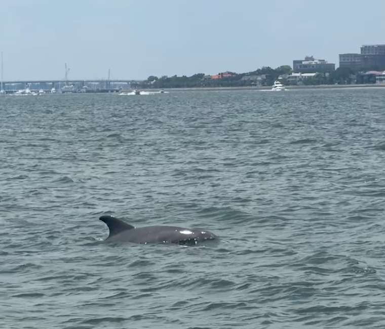 Mack 3 Charter Tours Experience