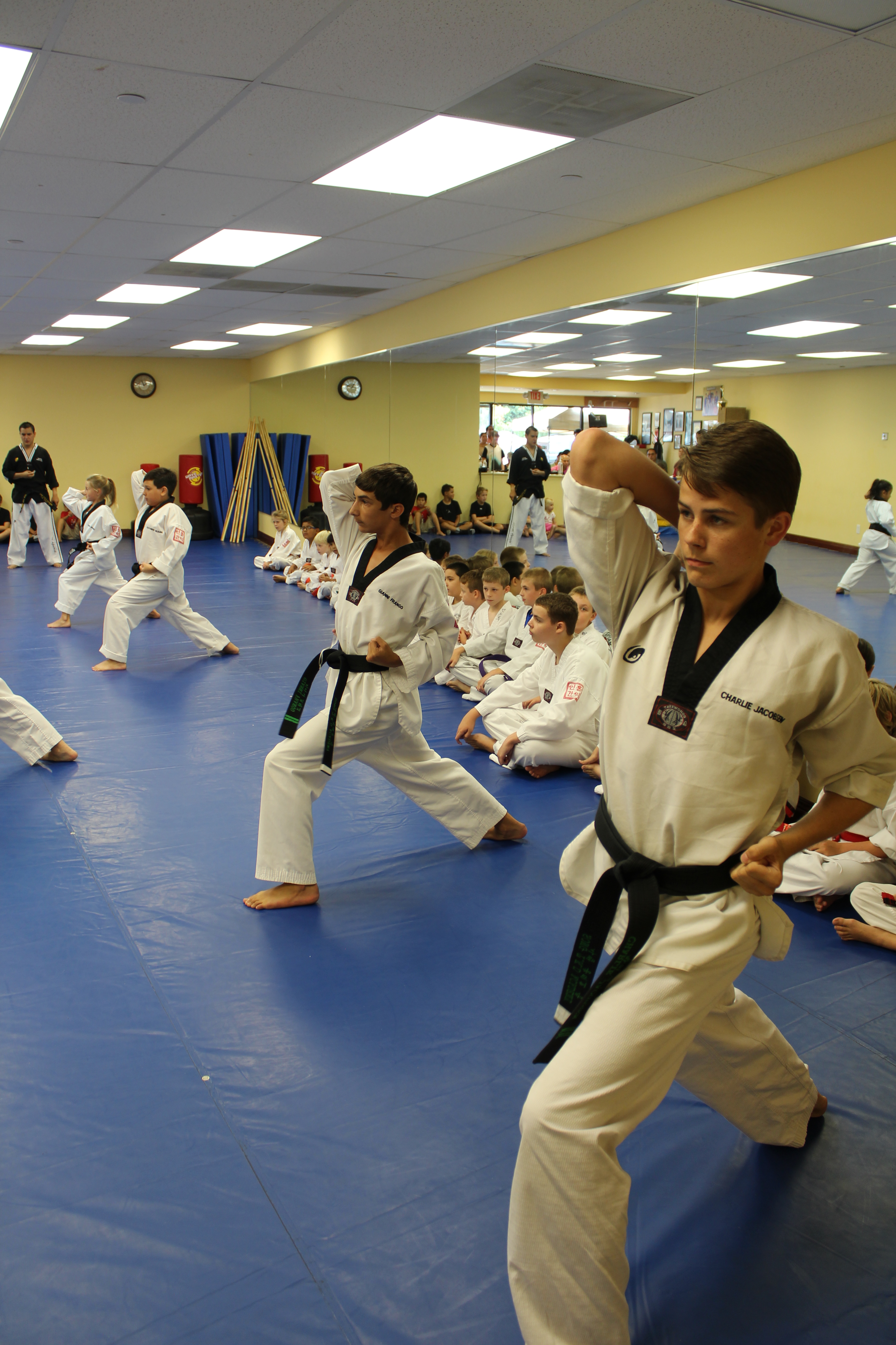 Teen and adult Tae Kwon Do training