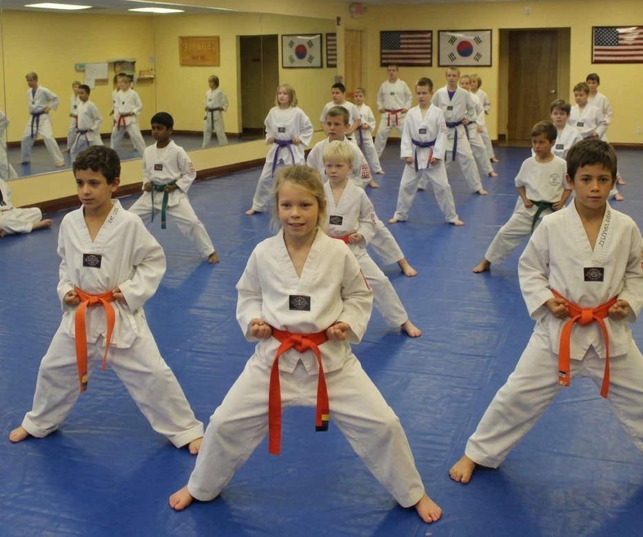 Song Tae Kwon Do student performing a kick
