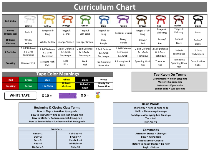 Song Tae Kwon Do Academy belt ranking curriculum chart