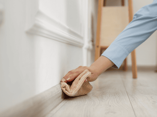  General House Cleaning