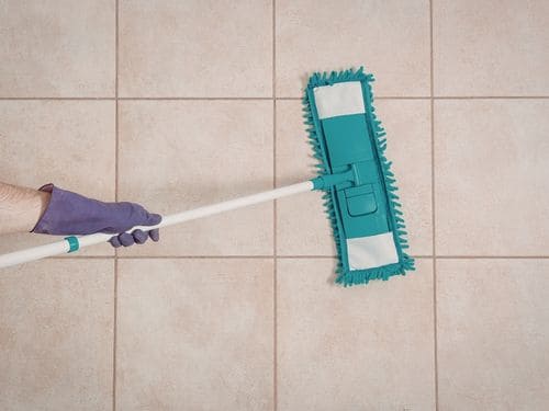  General House Cleaning