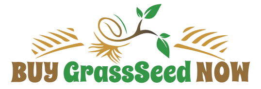 buy grass seed now