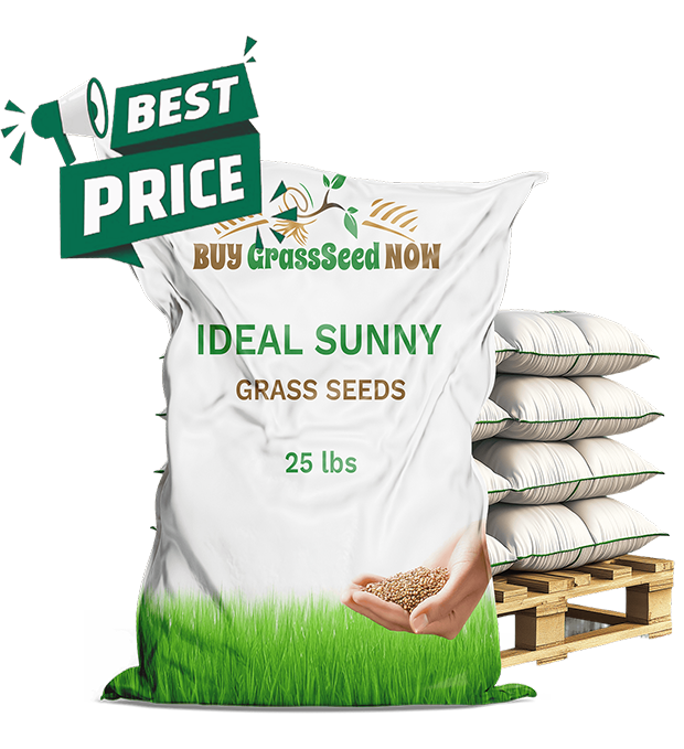 ideal sunny grass seed