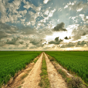 Land image with open road access and wide horizon