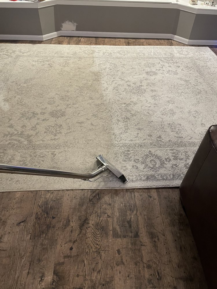 Professional carpet cleaning in action