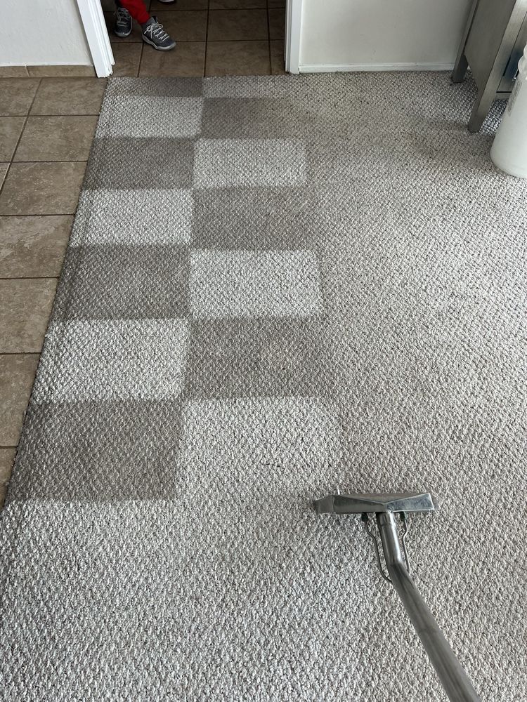 Pet stain and odor treatment on carpet