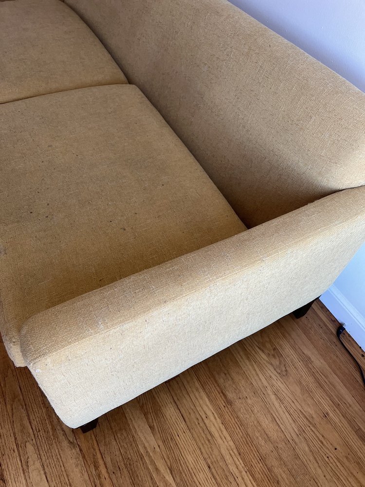 Area rug cleaning and stain removal