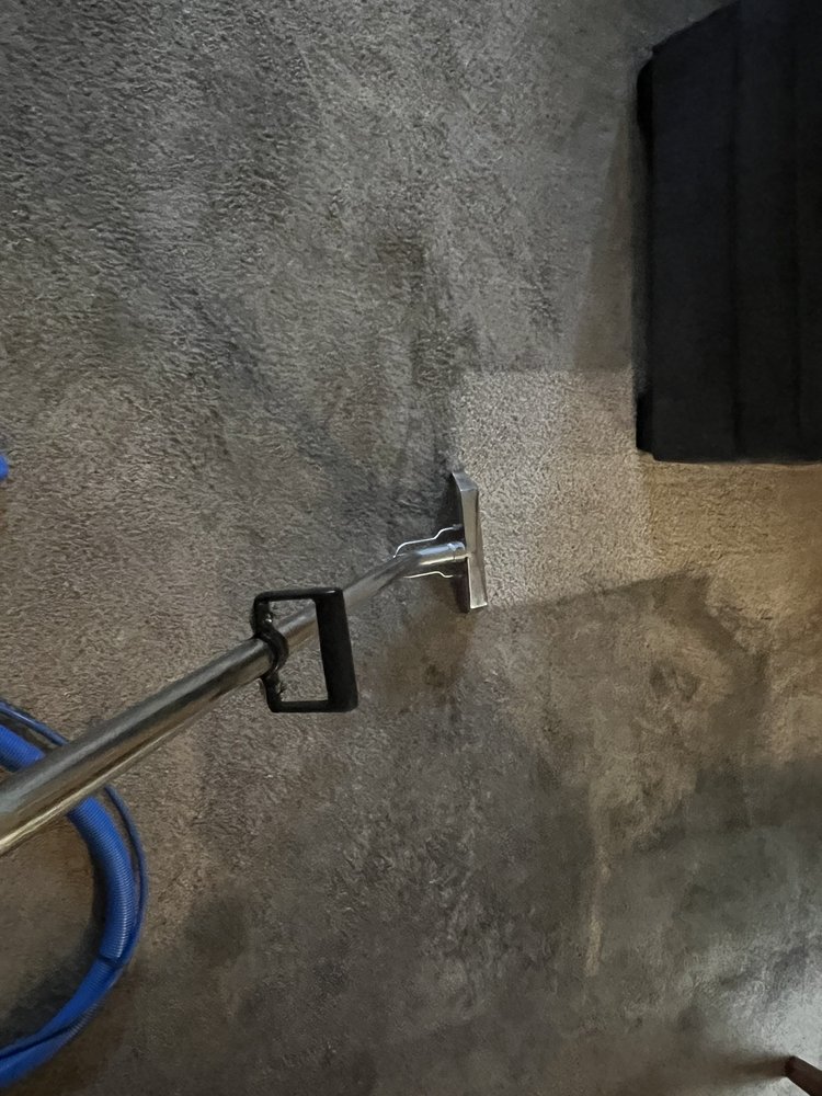 Professional upholstery cleaning on a fabric sofa