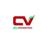 Cv.4you