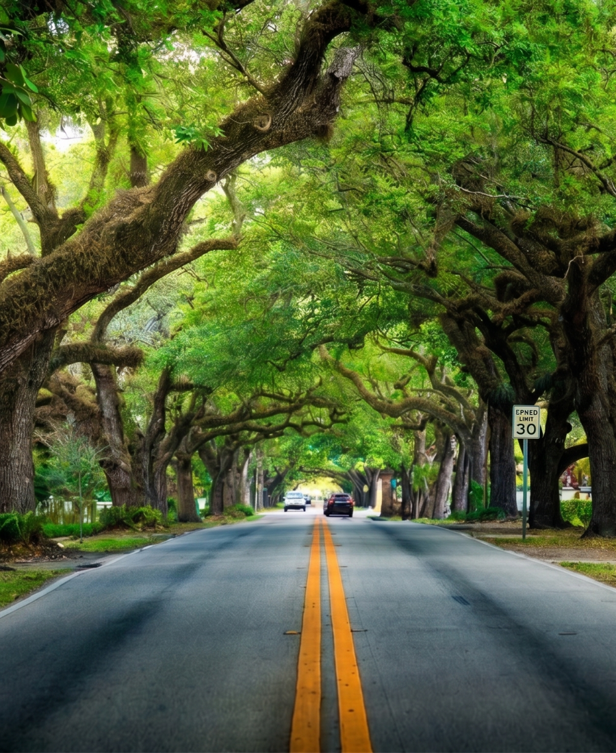 Miami neighborhood
