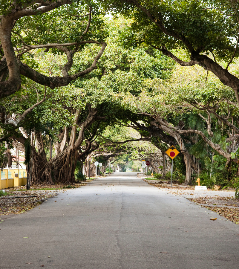 Miami relocation landing page hero image