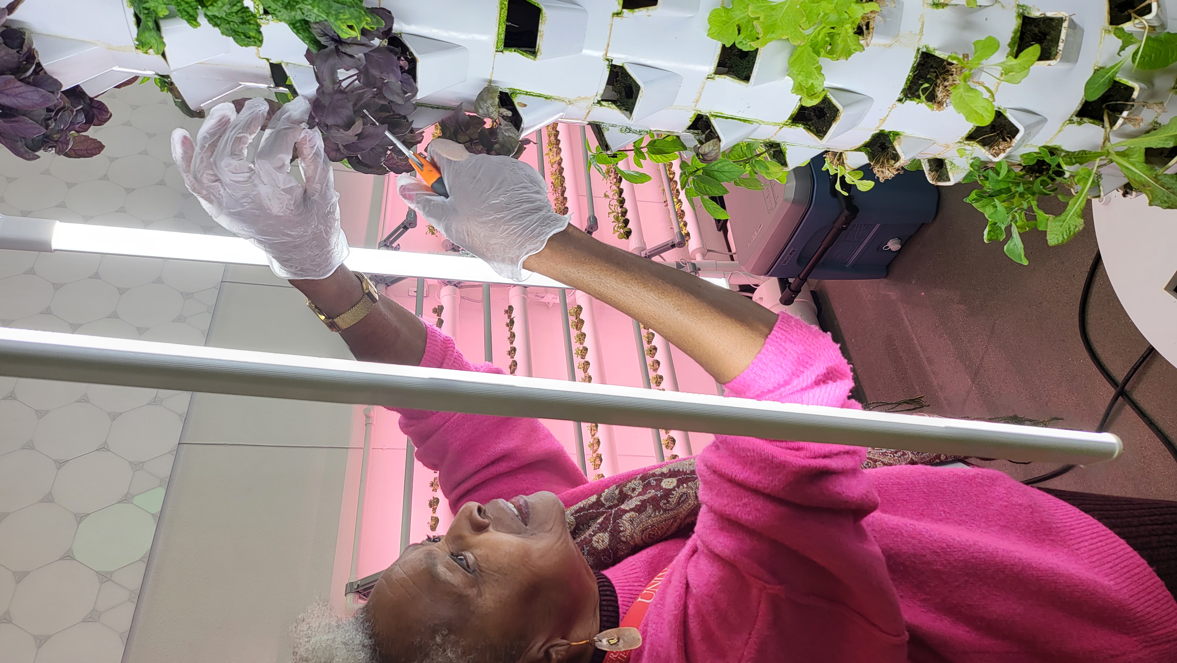 Sustainable hydroponics