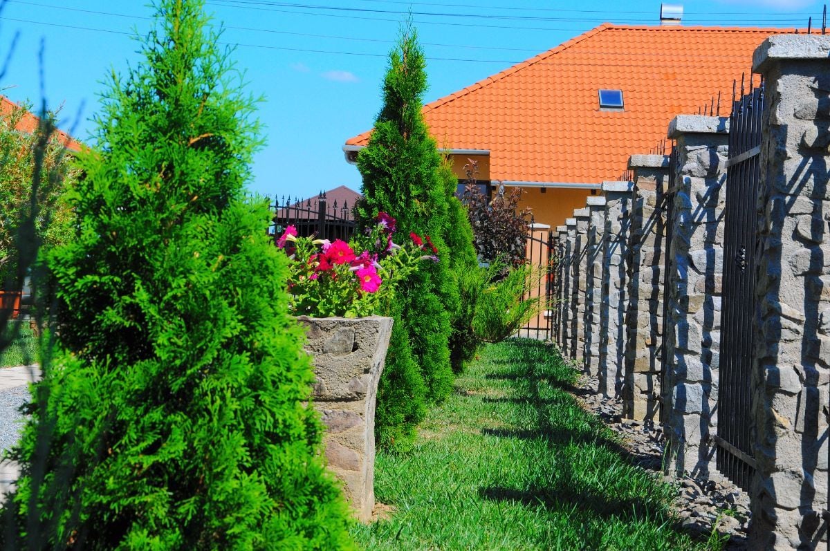 Marius M., Satu Mare, 150 mp — fotografie 2