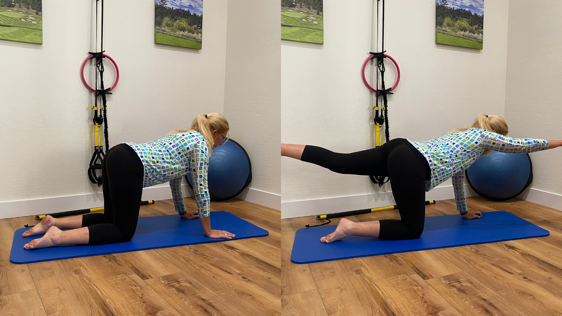 bird dog exercise