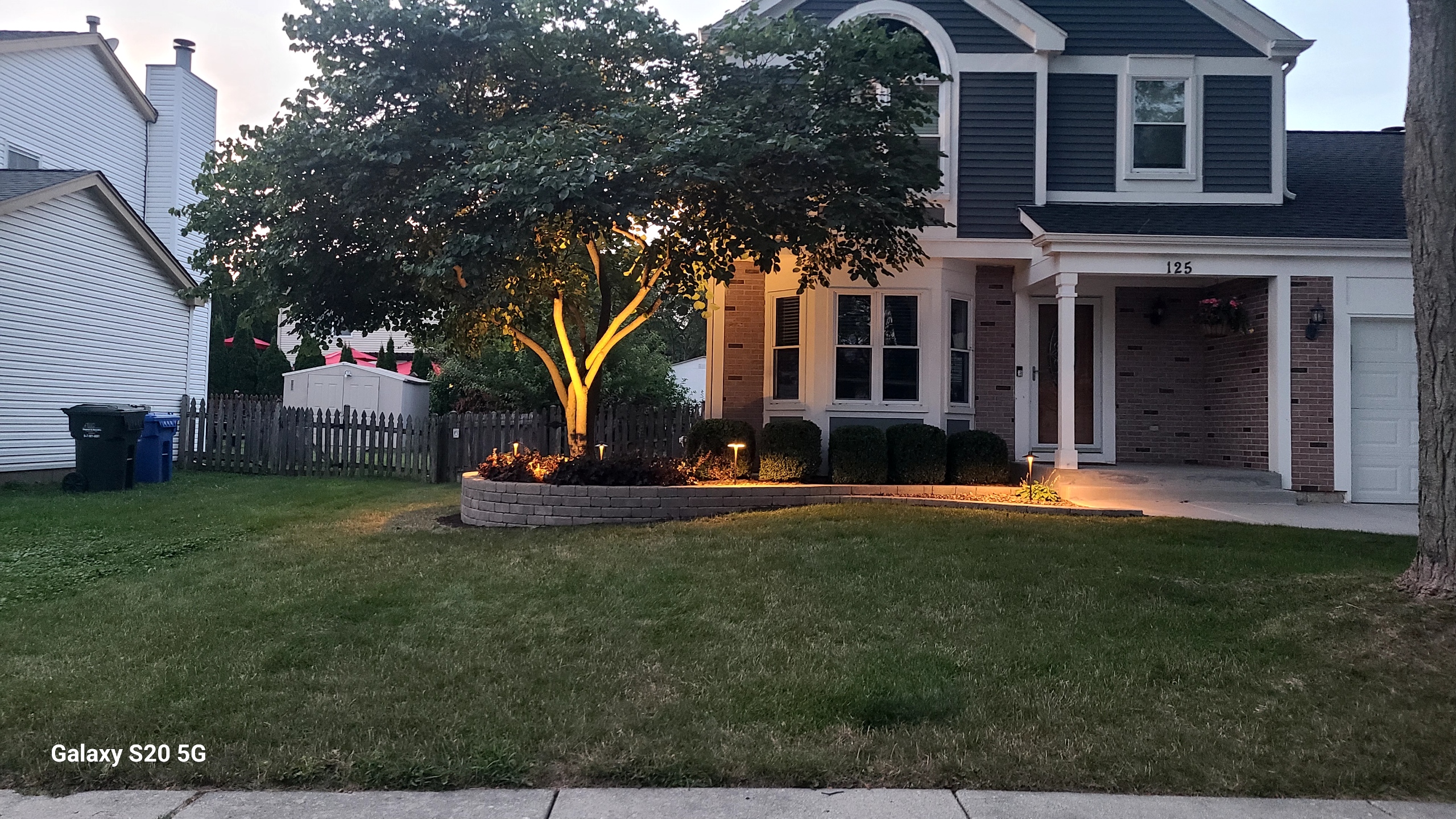 tree in front of a house