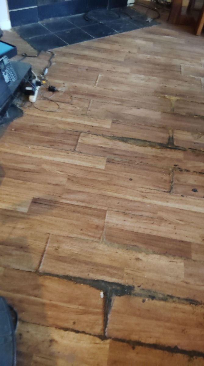 wood flooring dry out Kyle tx