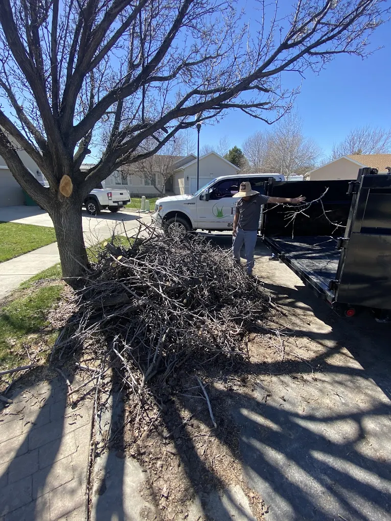 Junk/Debris Removal West Valley City