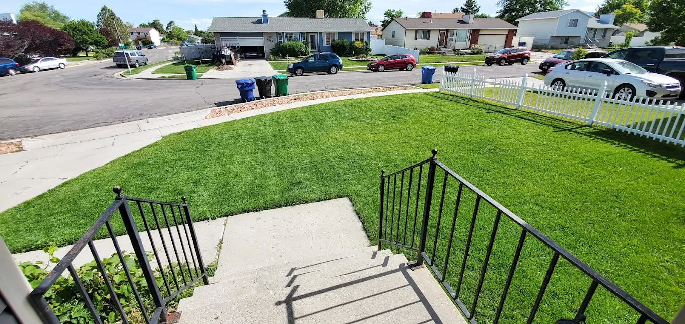 Sod Removal & Installation West Valley City