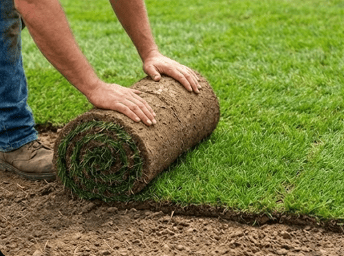 Sod Removal & Installation in West Valley City