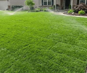  Lawn Maintenance