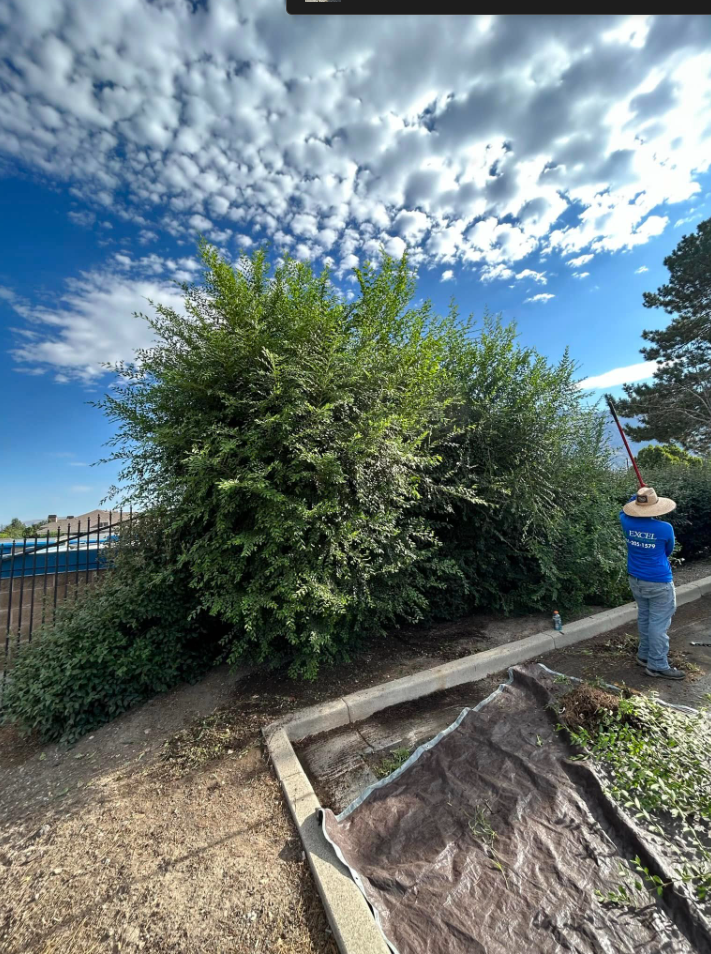 Spring & Fall Cleanups West Valley City