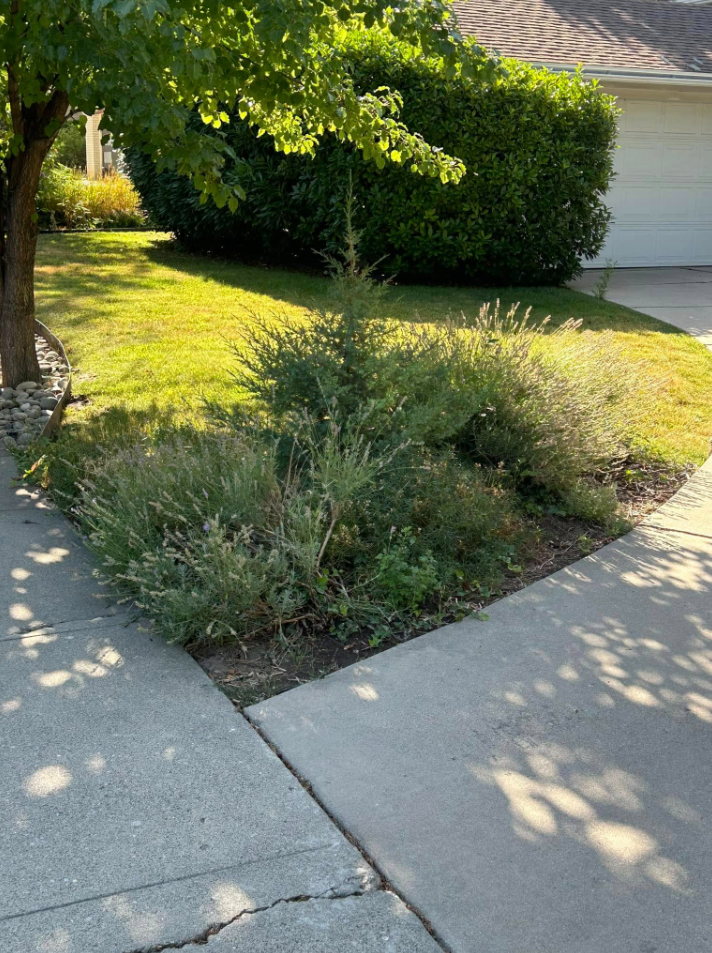 Lawn Maintenance West Valley City