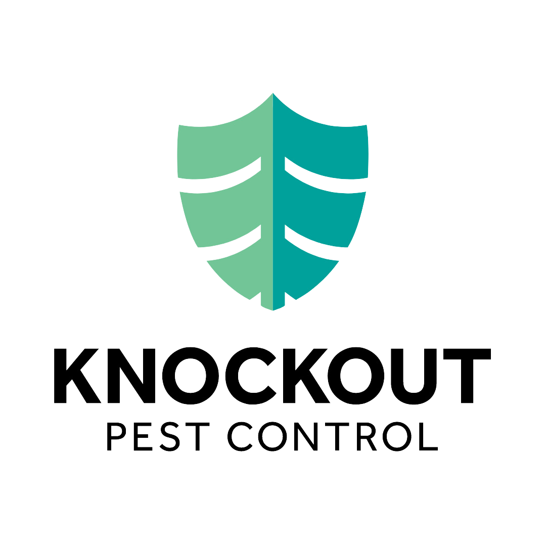 Knockout Pest Control Pest Control Vancouver Professional Services