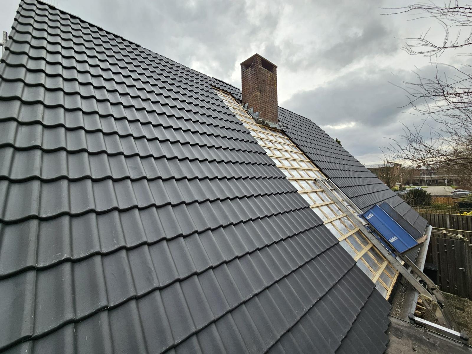 den bosch project dakreparatie