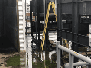 {{ custom_values.service_4 }} in {{custom_values.area_1})