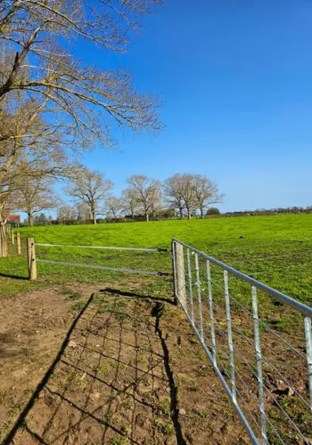 Portfolio Photo - Gate and electric fence