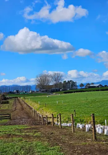 Portfolio Photo - Rural Electric Fence 