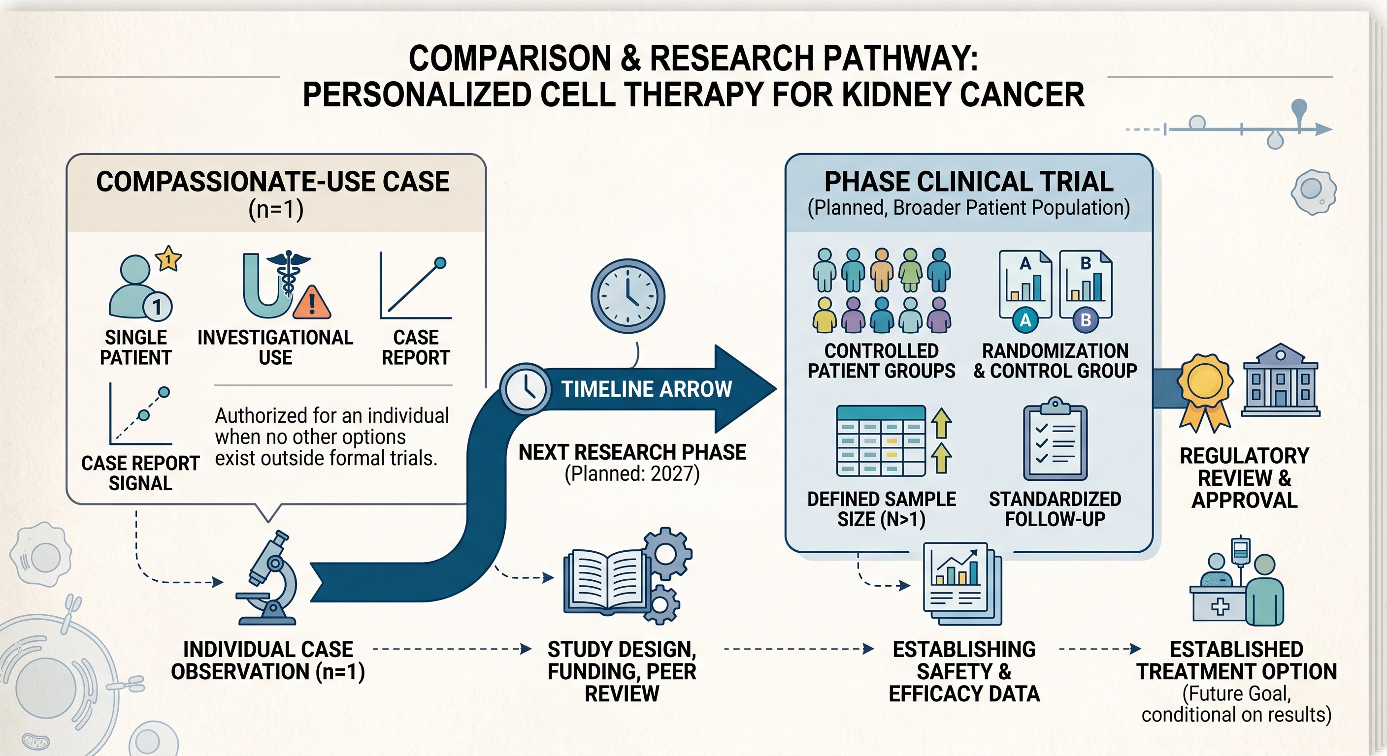 Infographic comparing an individual compassionate-use case with the clinical trial process required for personalized cell therapy for kidney cancer. Infographic comparing an individual compassionate-use case with the clinical trial process required for personalized cell therapy for kidney cancer.