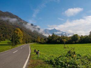 {{ custom_values.service_4 }} in {{custom_values.area_2})