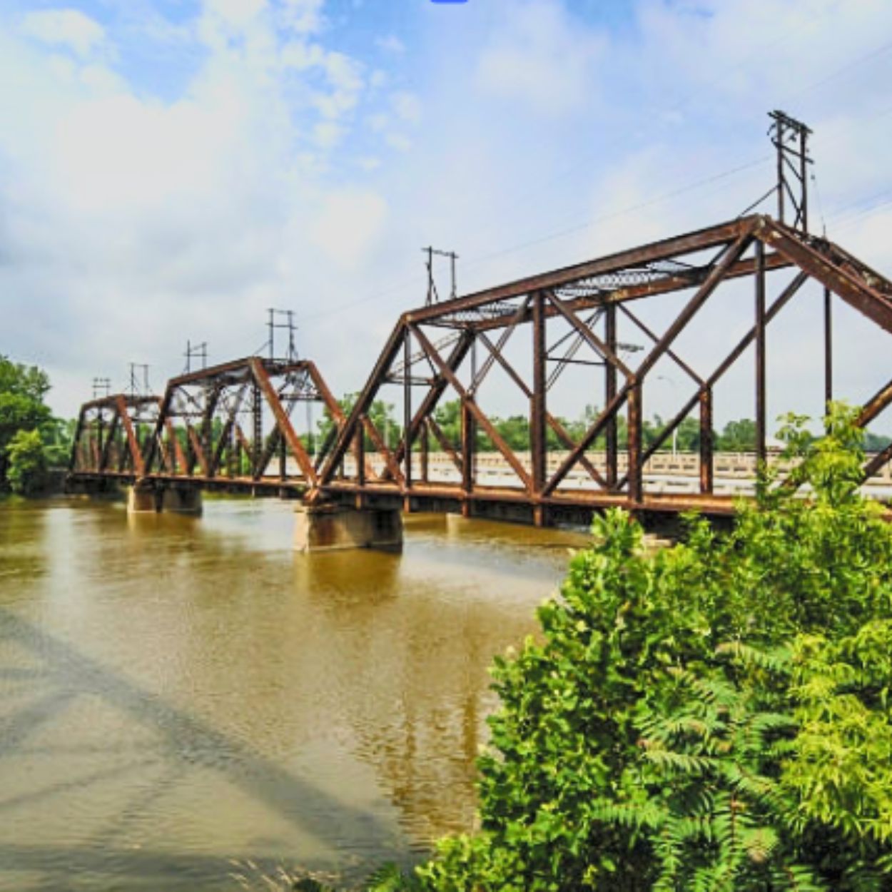 Monroe County Michigan Homes