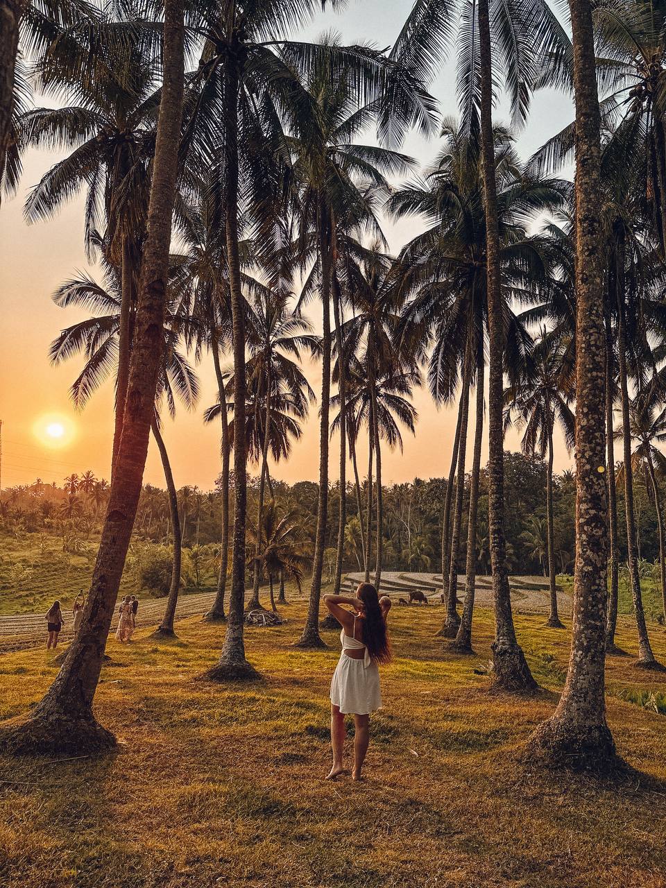 Travel