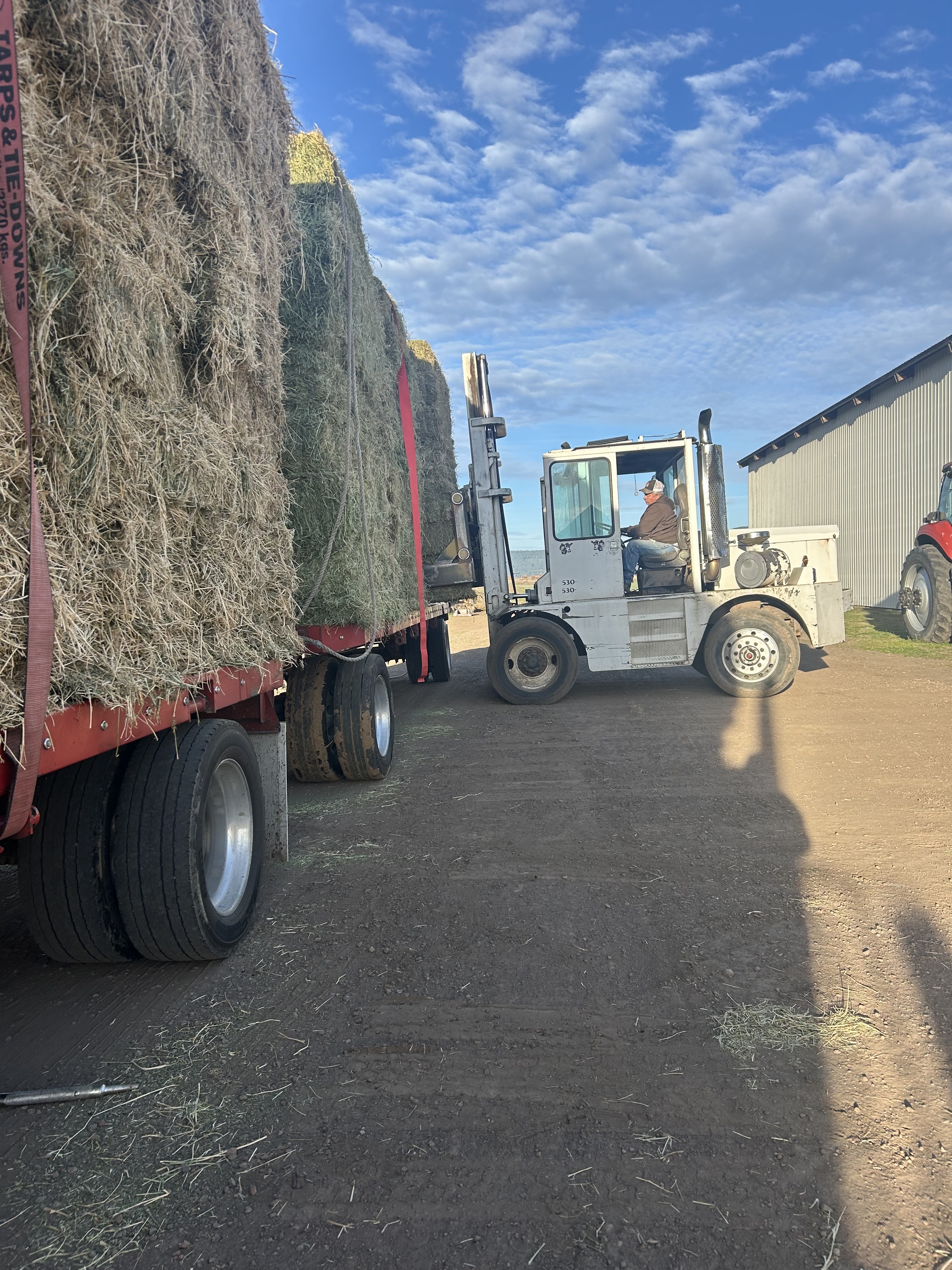 Flatbed truck stacked with hay bales from Gregory Farms in Bieber California
