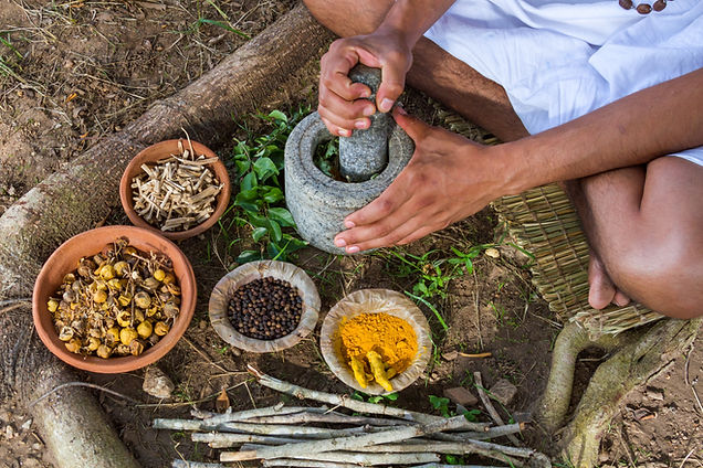 Person grinding herbs with a stone mortar and pestle outdoors, surrounded by clay bowls of dried roots, black peppercorns, fresh turmeric and turmeric powder Person grinding herbs with a stone mortar and pestle outdoors, surrounded by clay bowls of dried roots, black peppercorns, fresh turmeric and turmeric powder