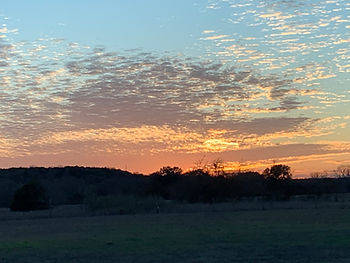 Golden sunset glowing beneath rippled clouds in a blue sky over a dark tree line and open field