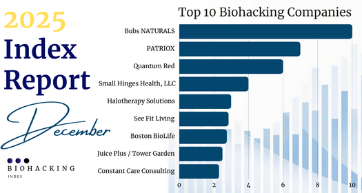 Wellness Index Report — December 2025