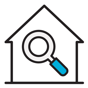 inspection icon