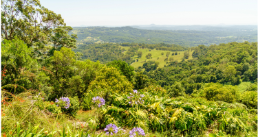 Green hinterland valley from a lookout
