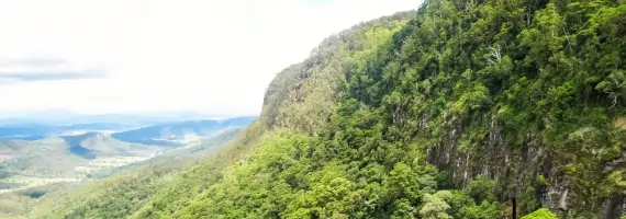 Binna Burra rainforest and valley