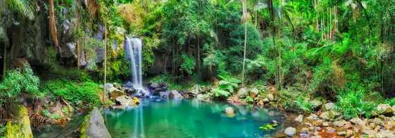 Tamborine Mountain