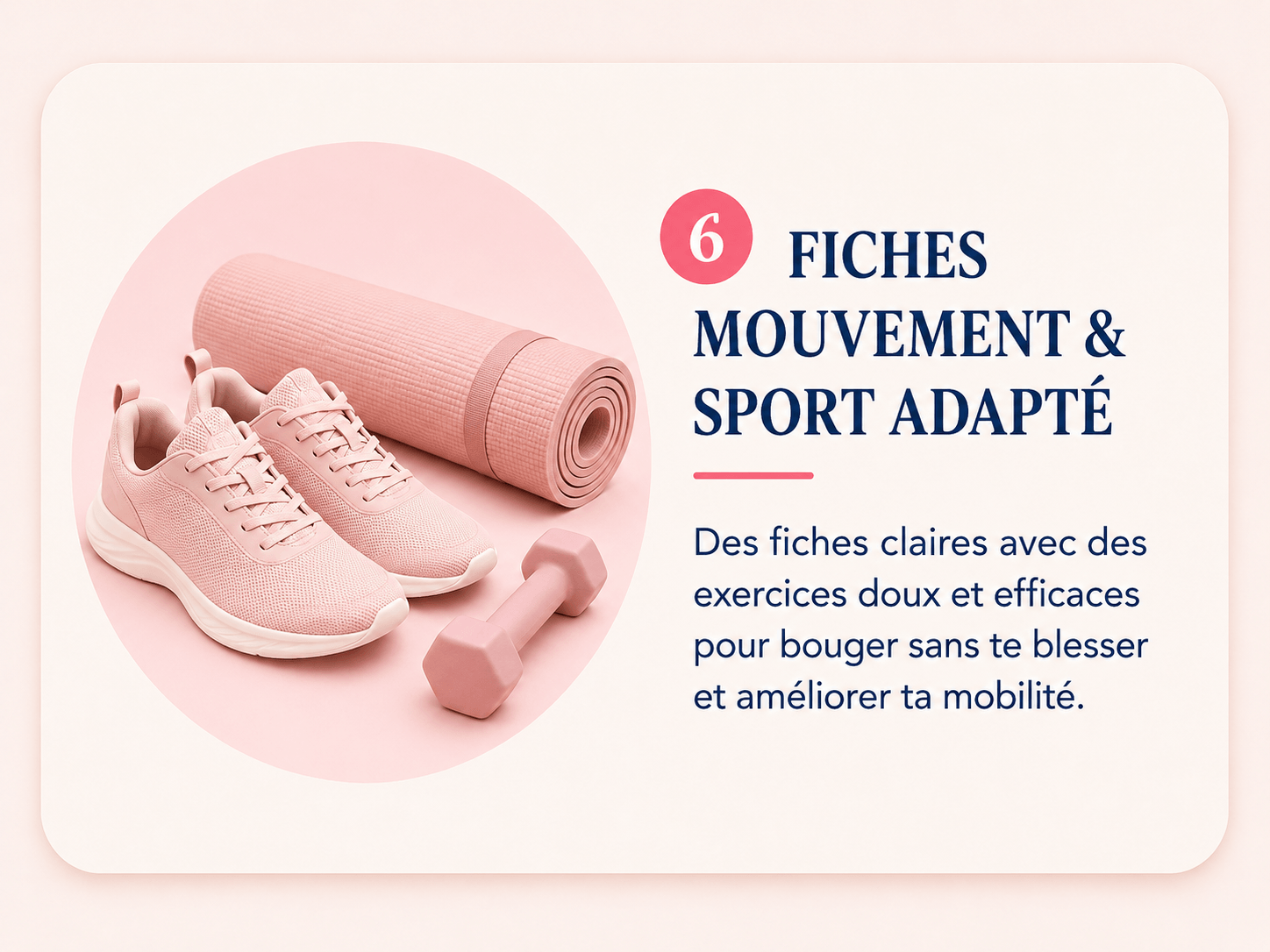 Contenu de l’application