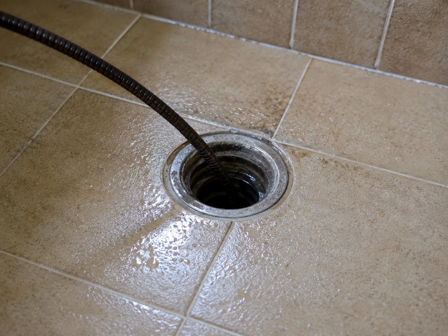 Drain Cleaning Forrest County MS