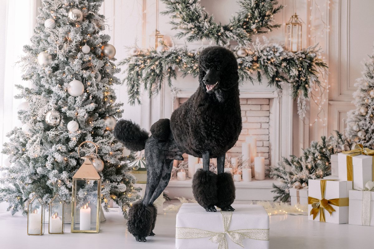 Flocked Christmas tree with white, rose gold and white ornaments, wrapped gifts and glowing lanterns.